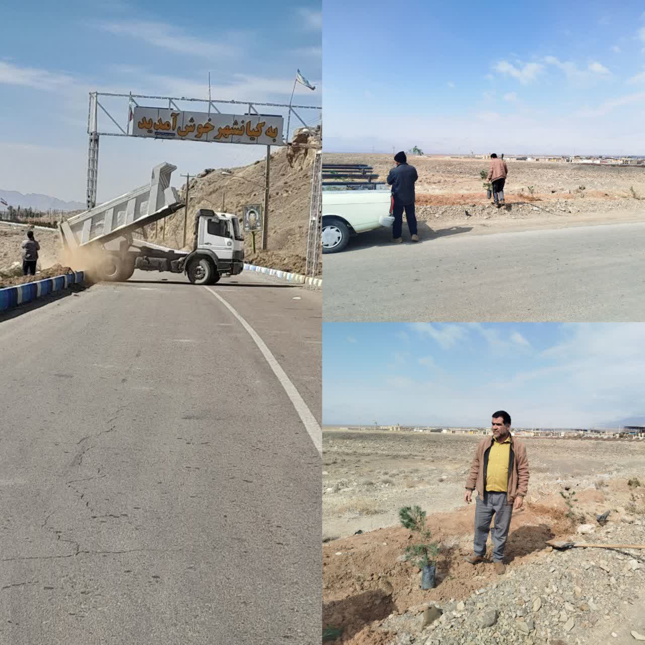 درختکاری سطح شهر